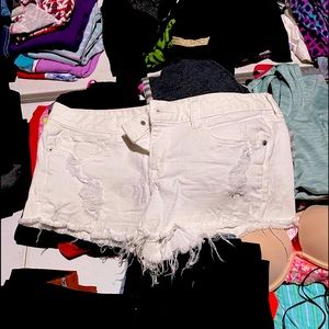 Women’s shorts